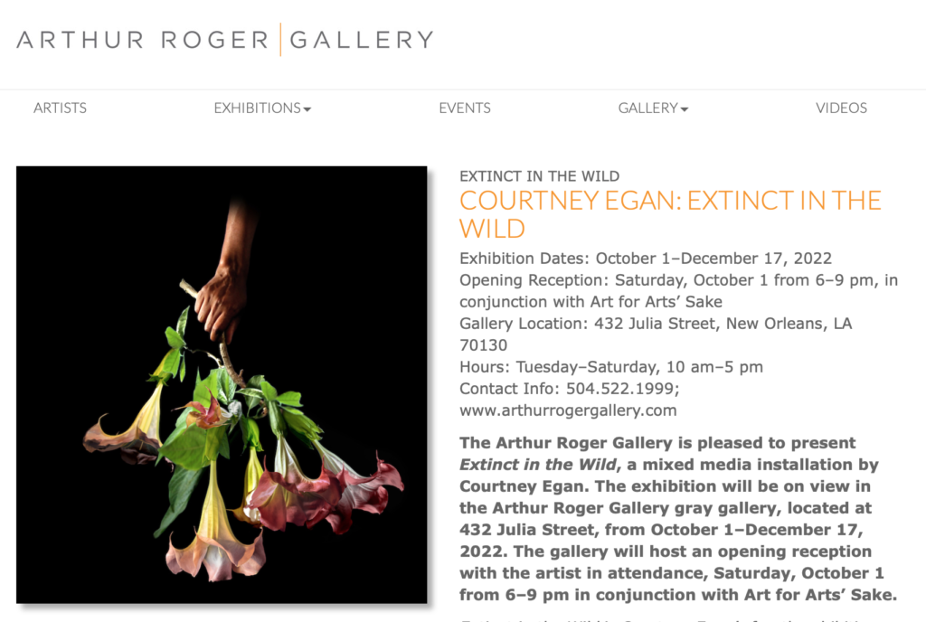 “Extinct in the Wild” at Arthur Roger Gallery, Fall 2022